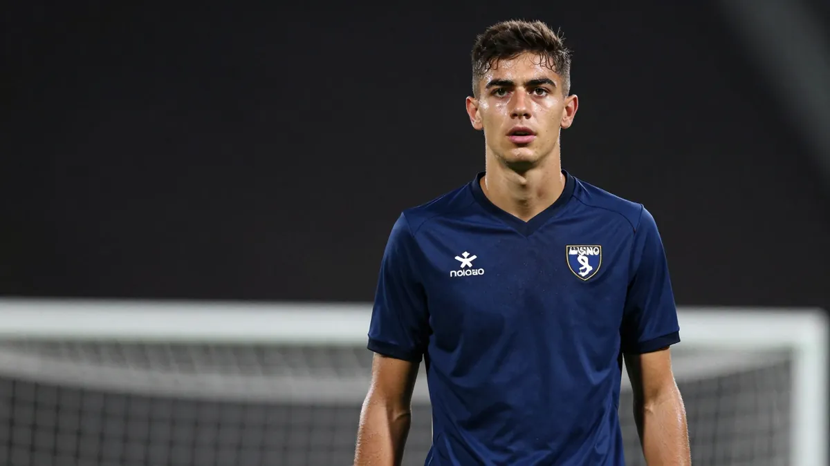 Celtic target Gvidas Gineitis: Scouting report on Torino star